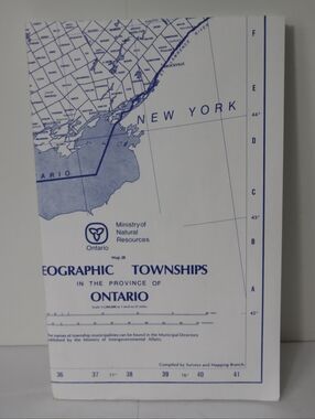 Geographic Townships Ontario Map Print in Blue and White 43"×41"